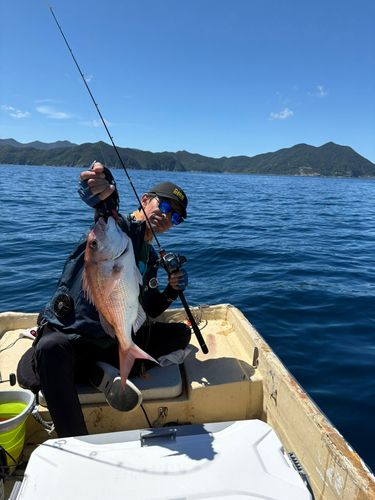 タイの釣果