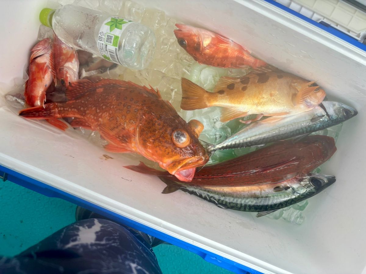 リーマンアングラー48さんの釣果 2枚目の画像