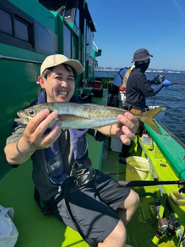 マアジの釣果
