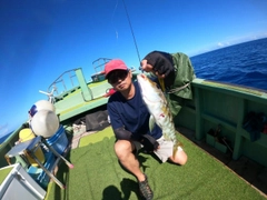 バラハタの釣果