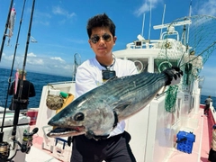 ヒラマサの釣果