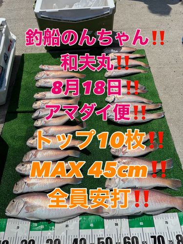 シロアマダイの釣果