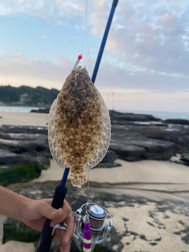 ソゲの釣果