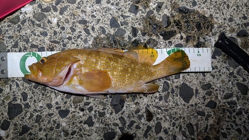 立石漁港