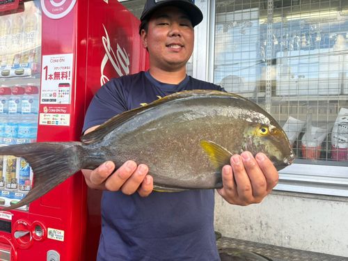 トカジャーの釣果