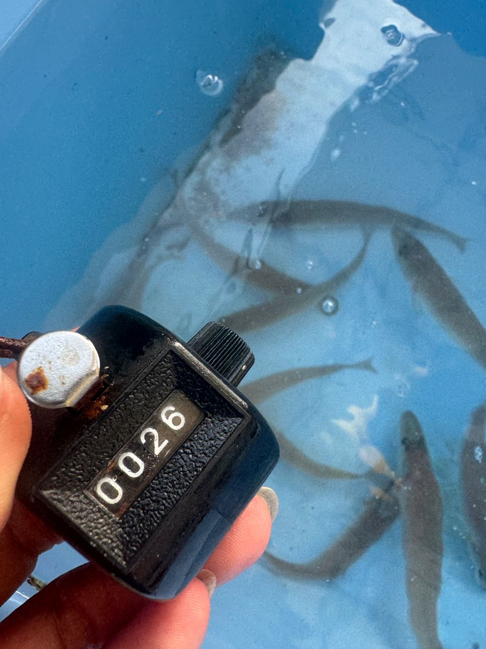 わんこわんさんの釣果 2枚目の画像