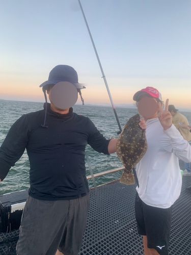ヒラメの釣果