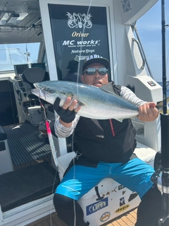 ワラサの釣果