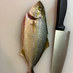 ショゴ