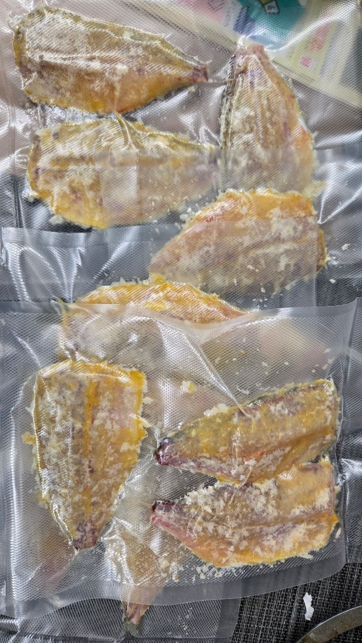 えいち3220さんの釣果 2枚目の画像