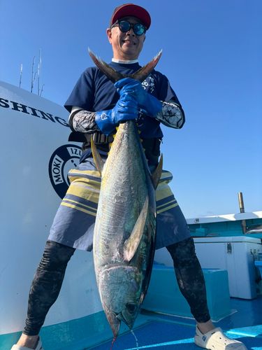 キハダマグロの釣果