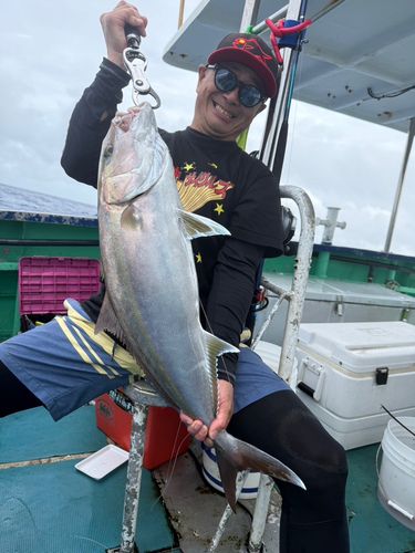 カンパチの釣果
