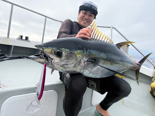キハダマグロの釣果