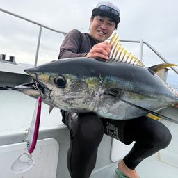 キハダマグロ