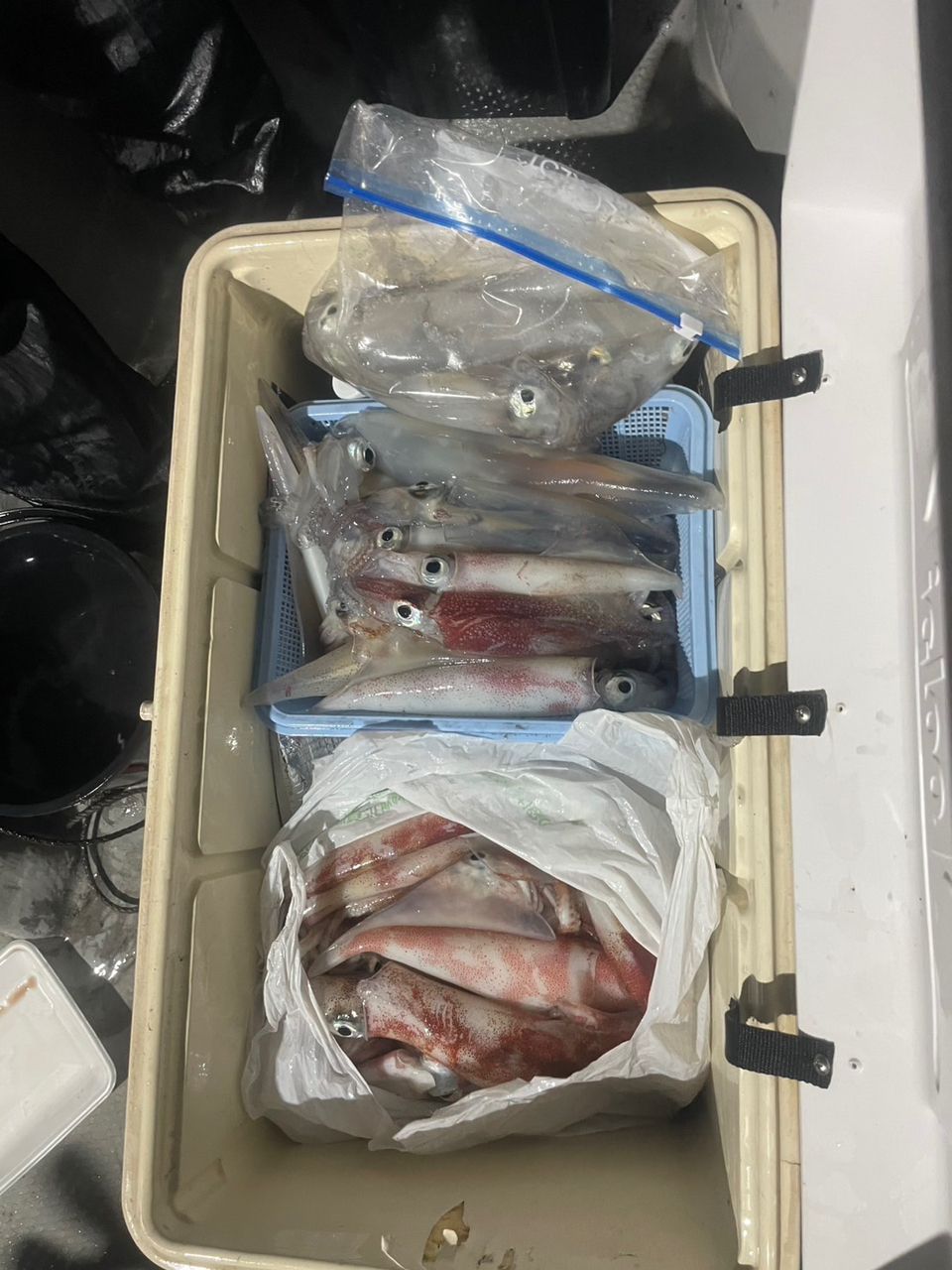 田畑良朗@なつき丸さんの釣果 2枚目の画像