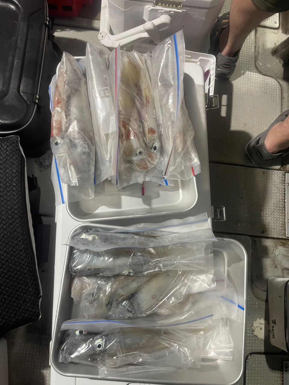 田畑良朗@なつき丸さんの釣果 3枚目の画像