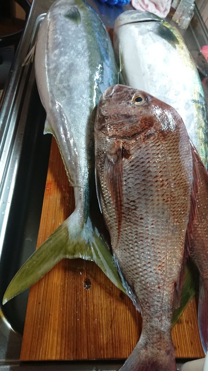 シーズさんの釣果 2枚目の画像