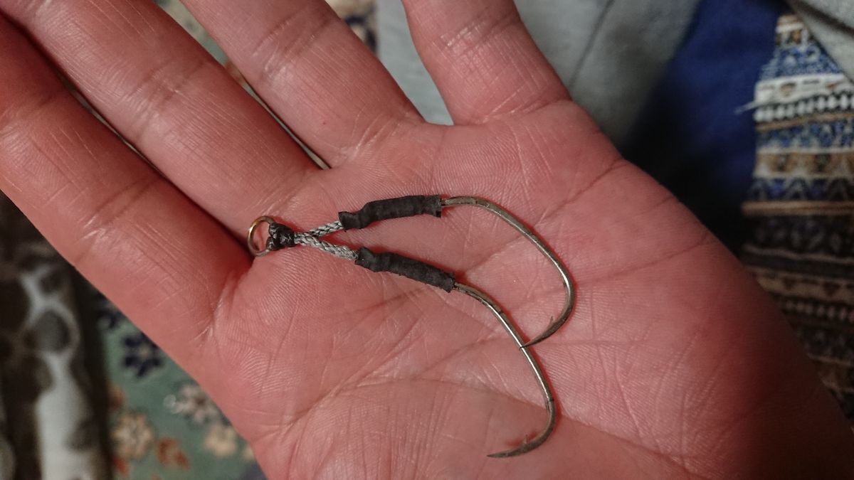 シーズさんの釣果 3枚目の画像