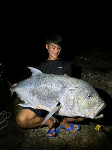 ロウニンアジの釣果