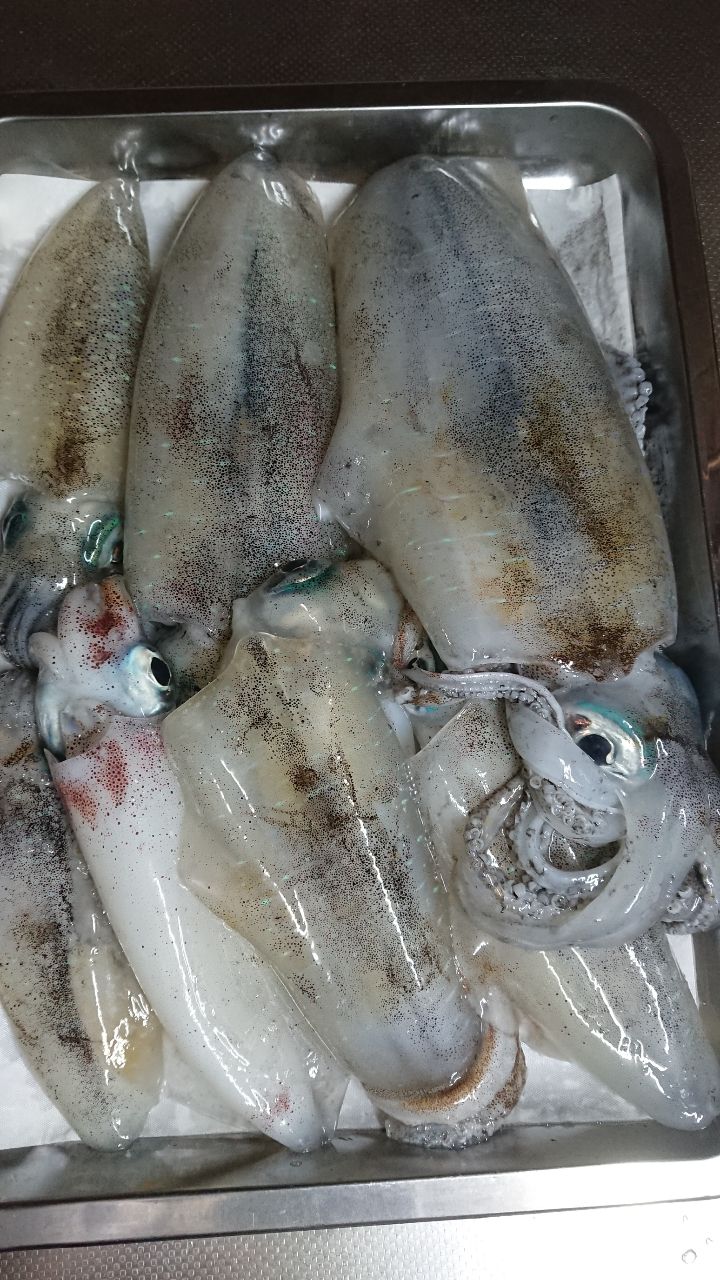 シーズさんの釣果 2枚目の画像