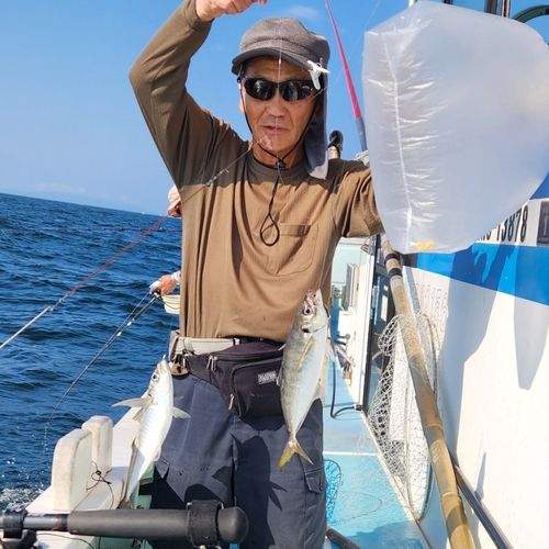 マアジの釣果