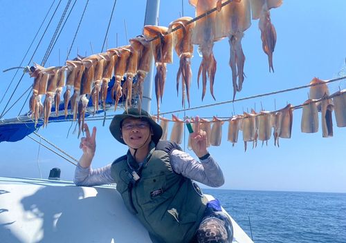 スルメイカの釣果