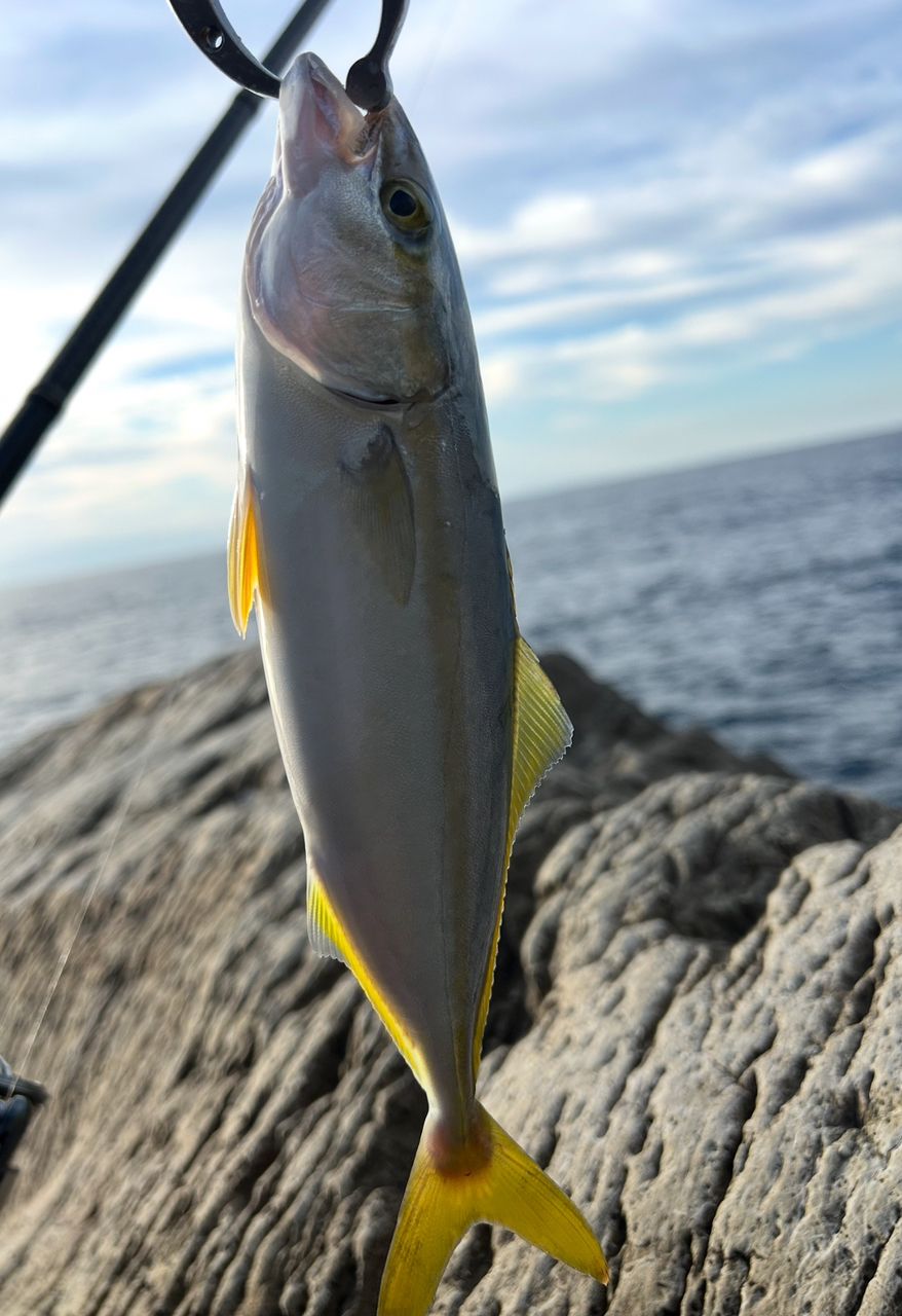 クロステージ サーフロッド CRX-106SUF メジャークラフト クロステージ