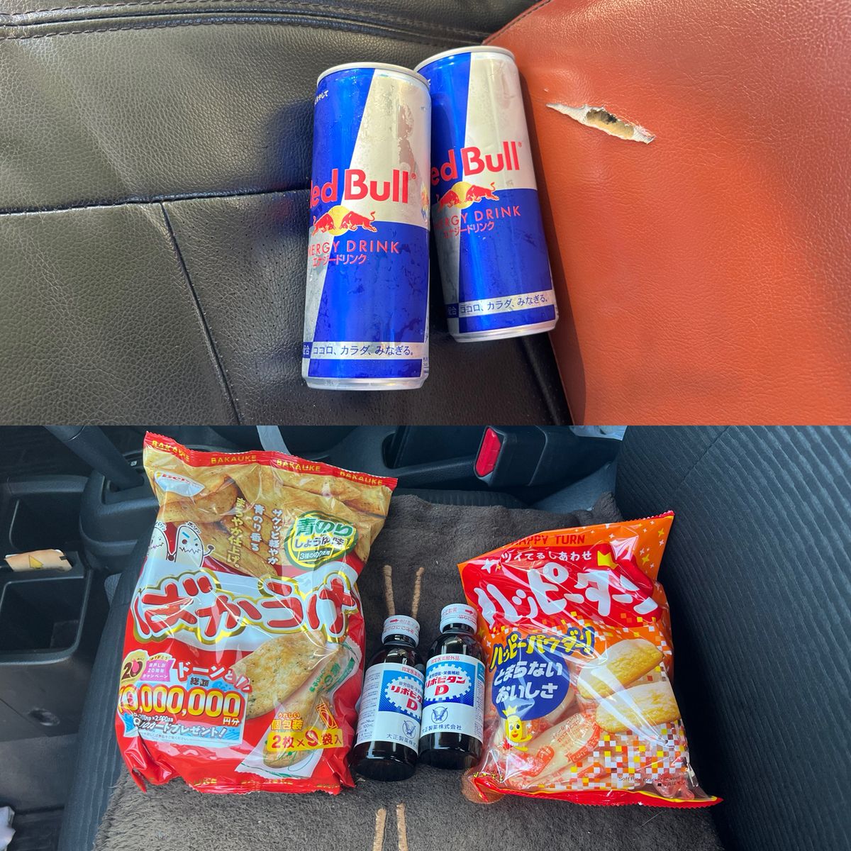 政信丸さんの釣果 3枚目の画像