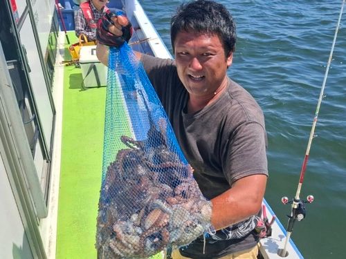 マダコの釣果