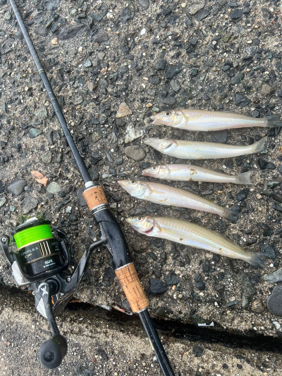 SHIMANO 17エクスプライド 265MLの最安値・インプレ・釣果 | 本音の