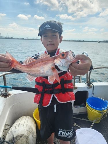 アカムツの釣果
