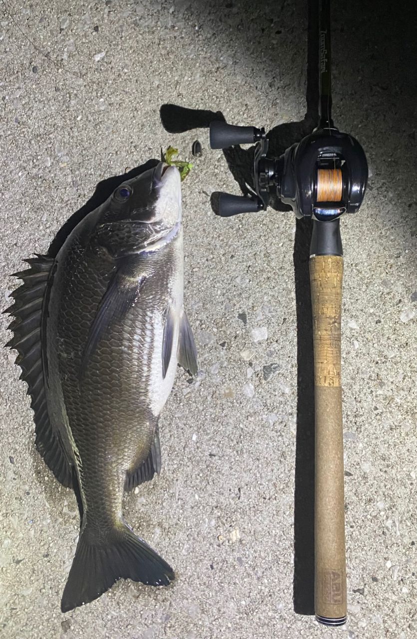 AbuGarcia ズームサファリ ZMSC-765Lの最安値・インプレ・釣果