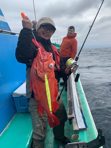 ベニアコウの釣果