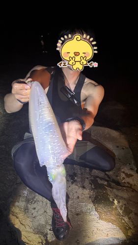 舘浦漁港