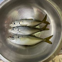 アジ