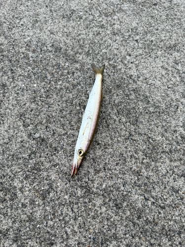 都農漁港