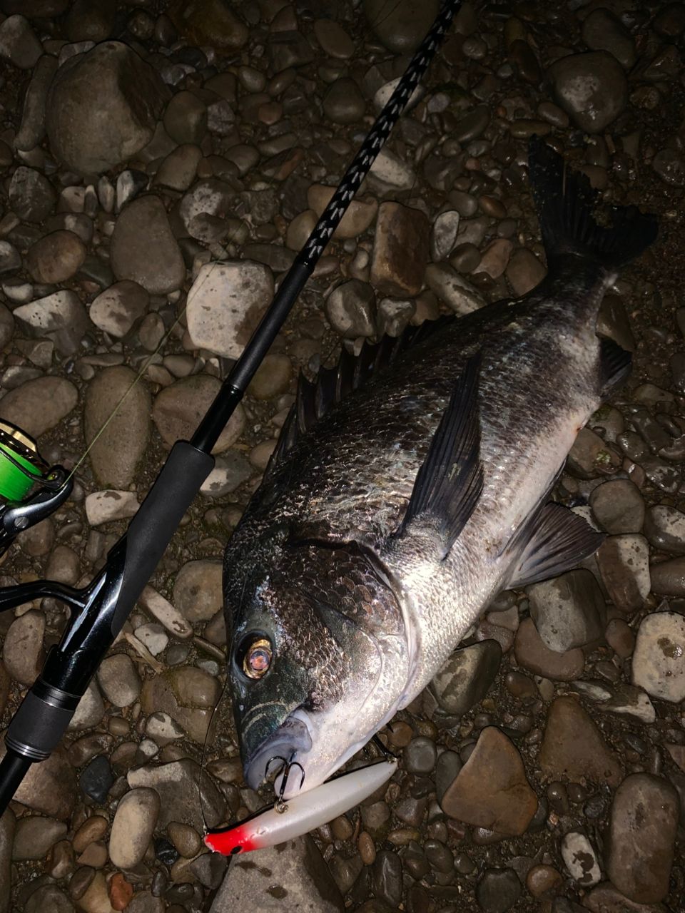 SHIMANO 18ディアルーナ S96MLの最安値・インプレ・釣果 | 本音