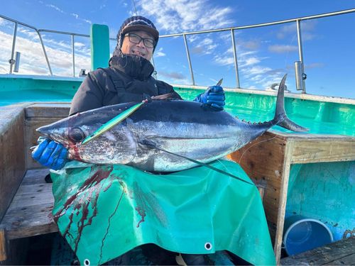 ビンチョウマグロの釣果