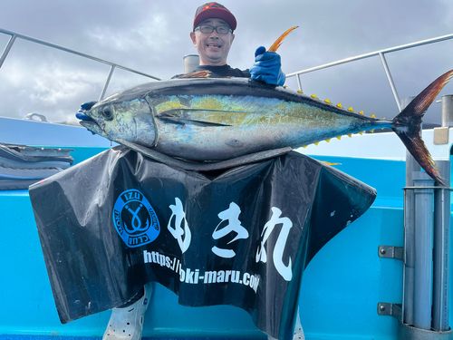 キハダマグロの釣果