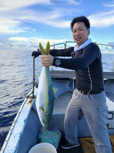 ブリの釣果
