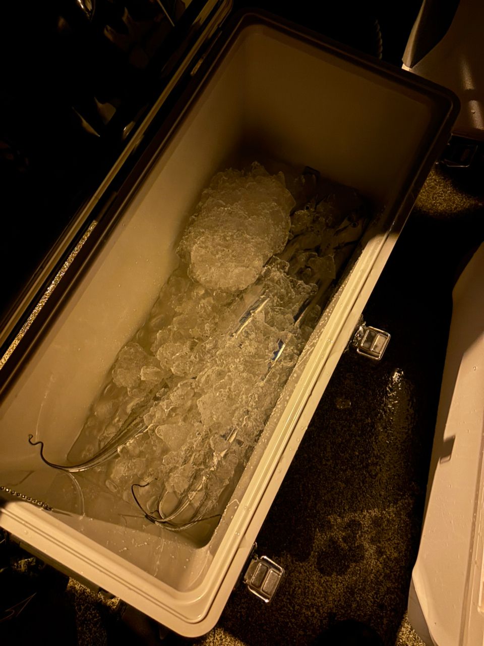 Mr.GINDABERAさんの釣果 2枚目の画像