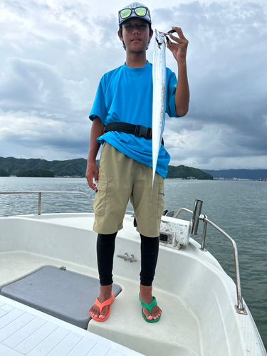 タチウオの釣果