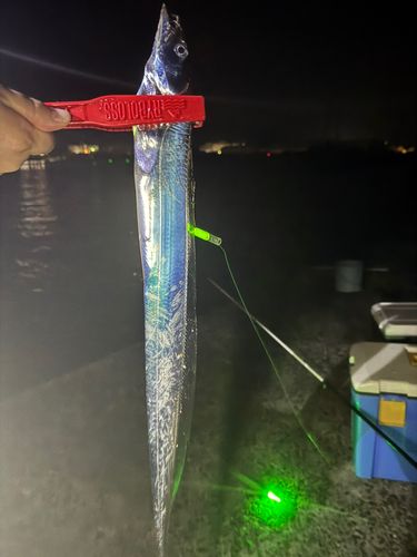 釣果