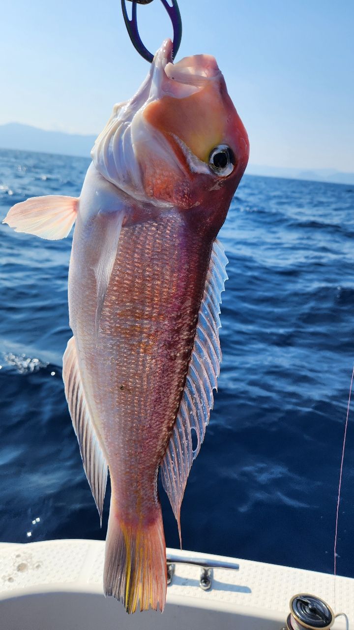 22カルディアSW5000-CXH fishing-sagamiya_4550133165733