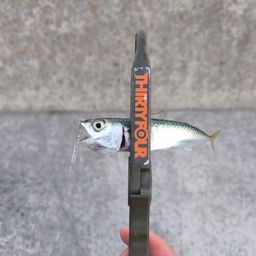 サバ