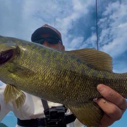 スモールマウスバス