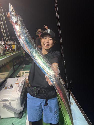 タチウオの釣果