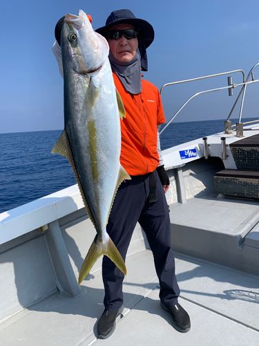 ヒラマサの釣果