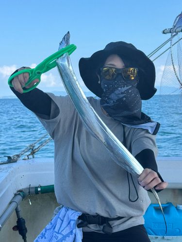 タチウオの釣果