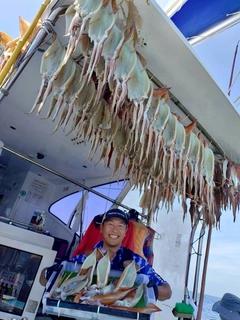 スルメイカの釣果